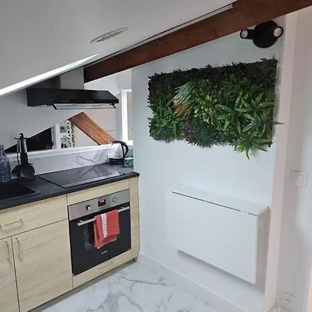 Cozy Loft Sous Les Toits דירה Le Kremlin-Bicêtre